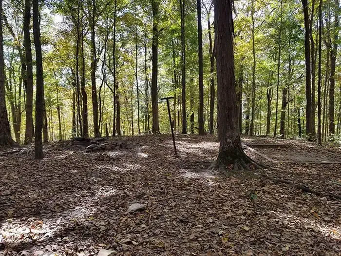 Turnhole Bend