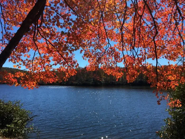 Julian Price Campground