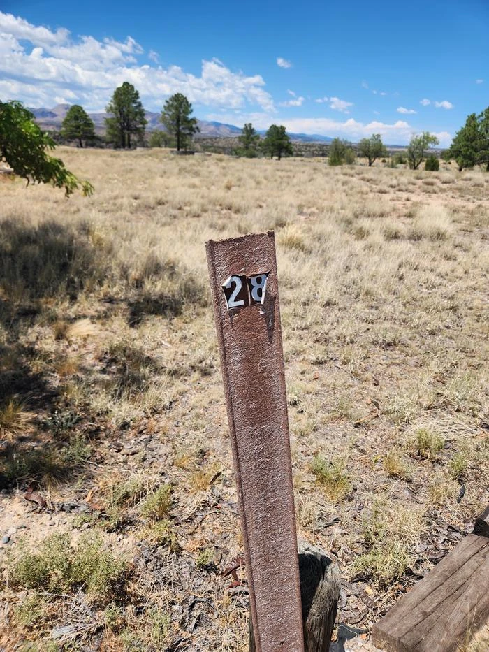 28