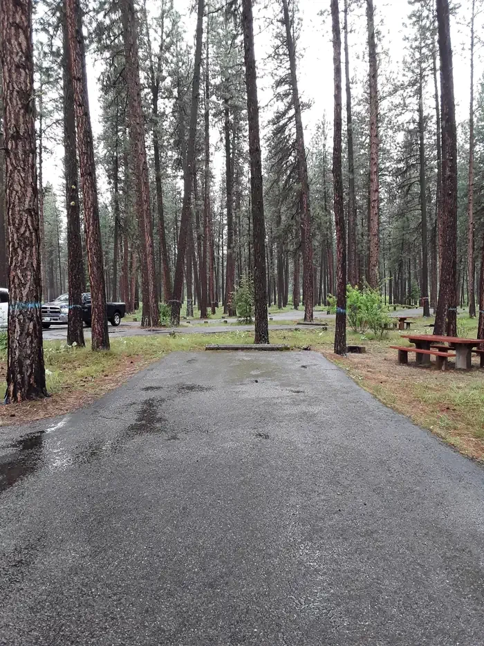 Quartz Flat Campground (MT)