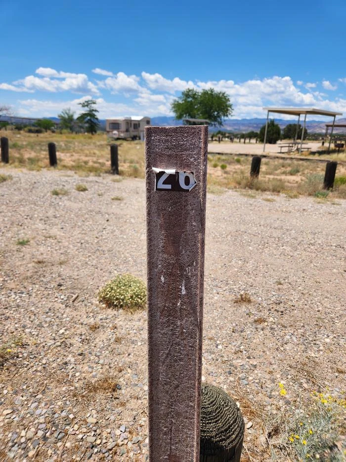 26