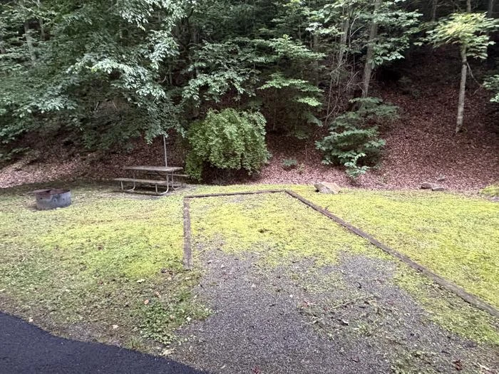 Site 23