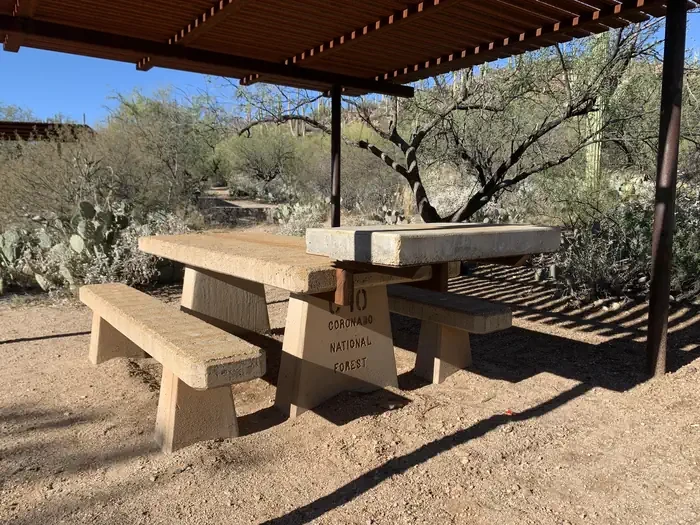 Sabino Canyon Recreation Area Cactus Ramada 2