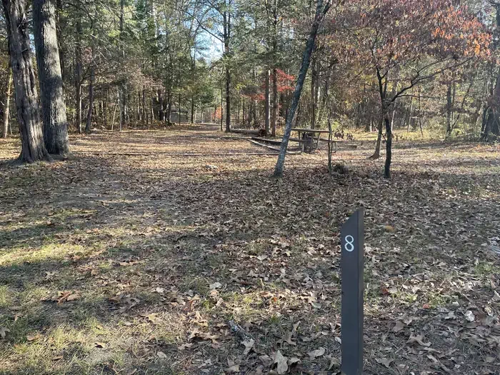 Site 8