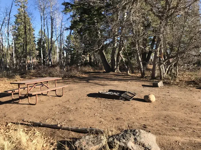 Lava Point Campground