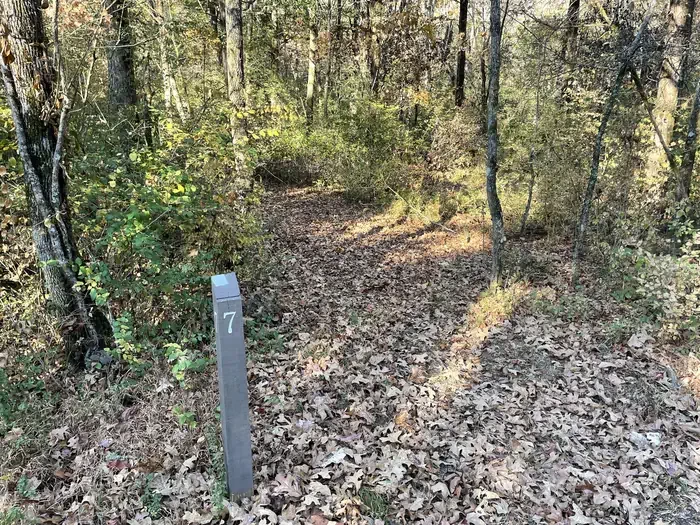 Site 7