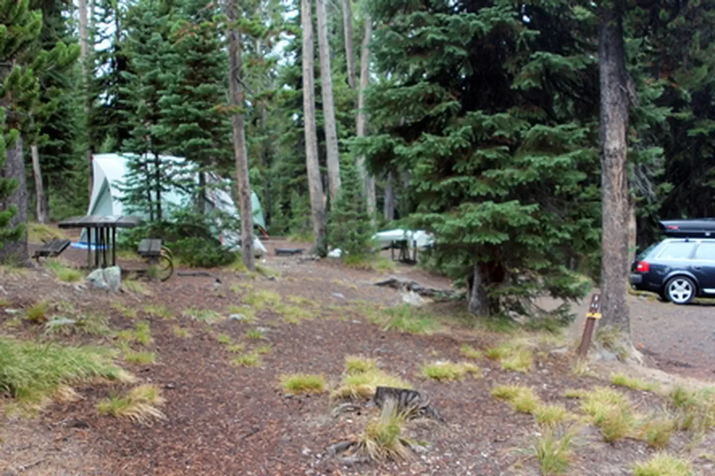 Lewis Lake Campground