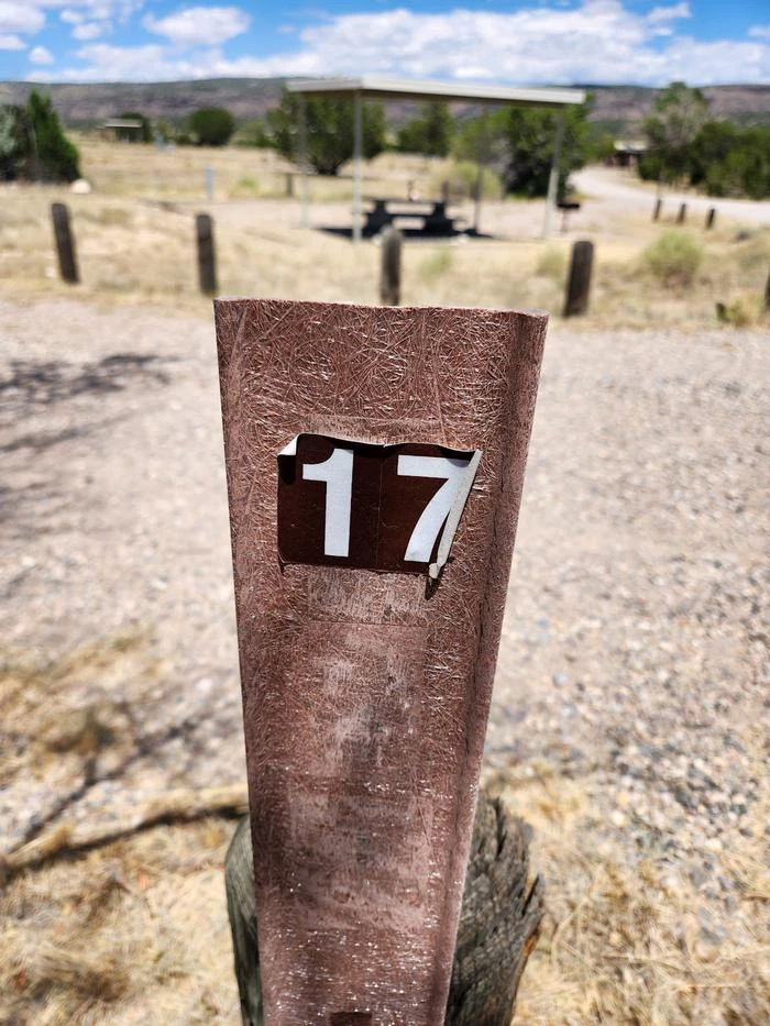 17