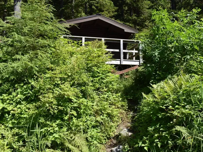 Reflection Lake Cabin