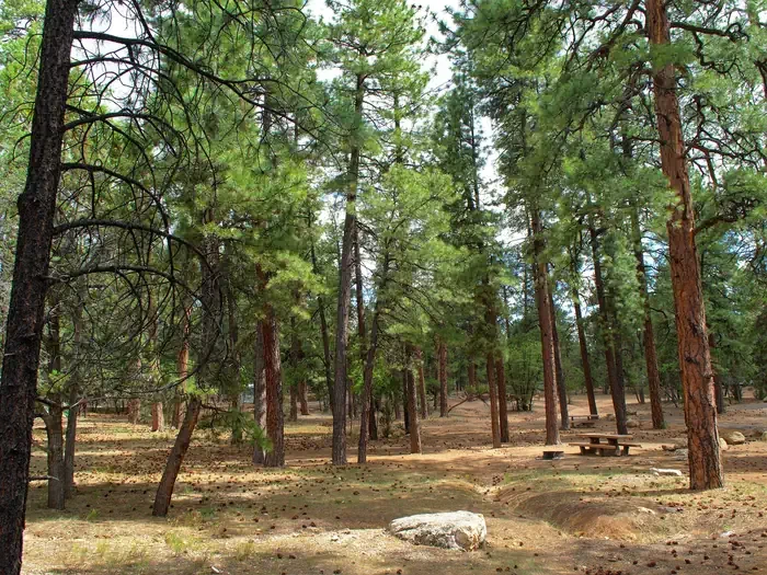 Mather Campground