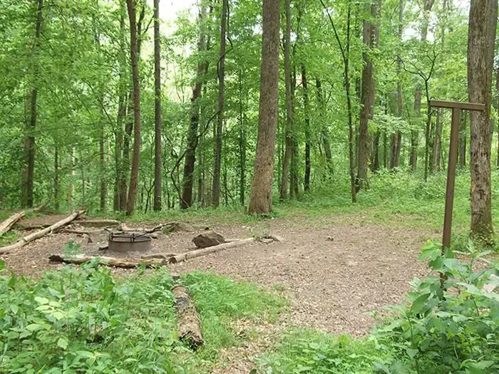 McCoy Hollow