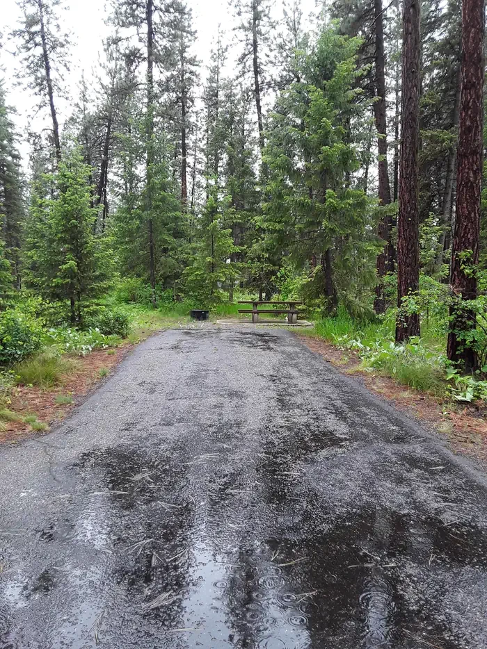 Quartz Flat Campground (MT)