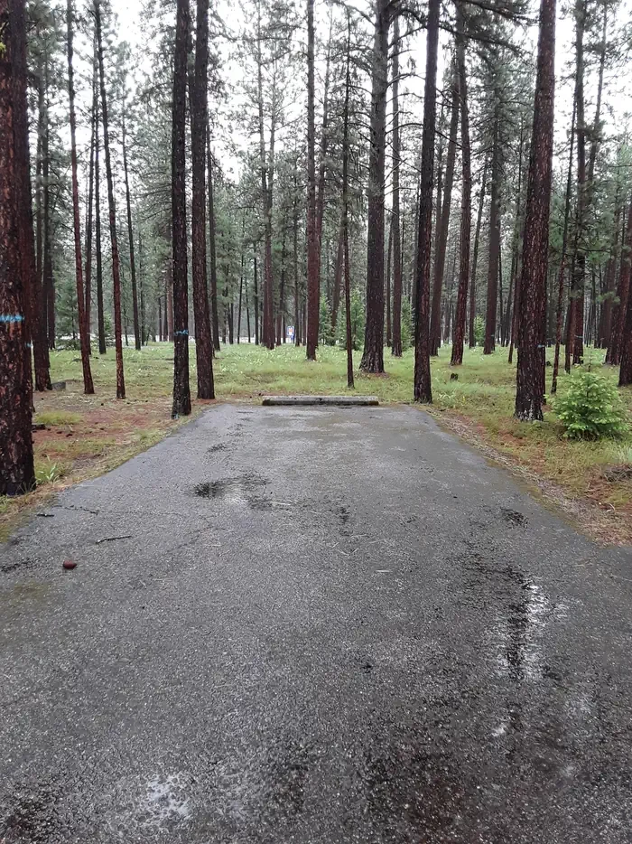 Quartz Flat Campground (MT)