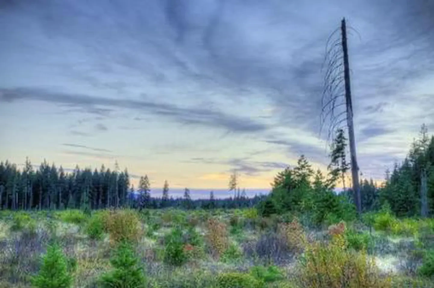 Atkisson Group camp
