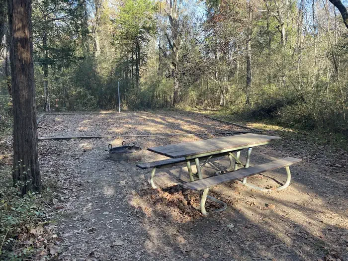 Site 6