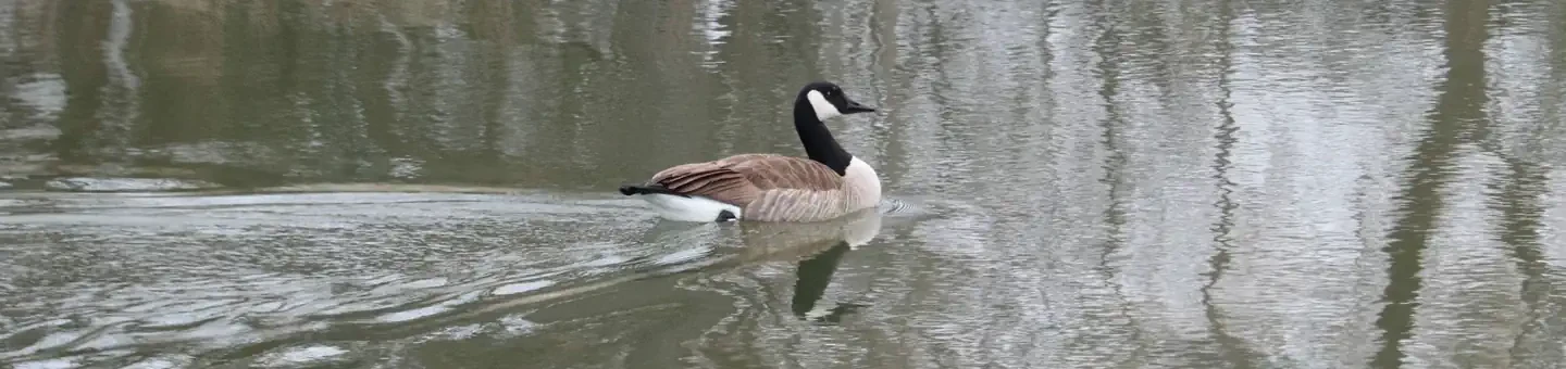 83