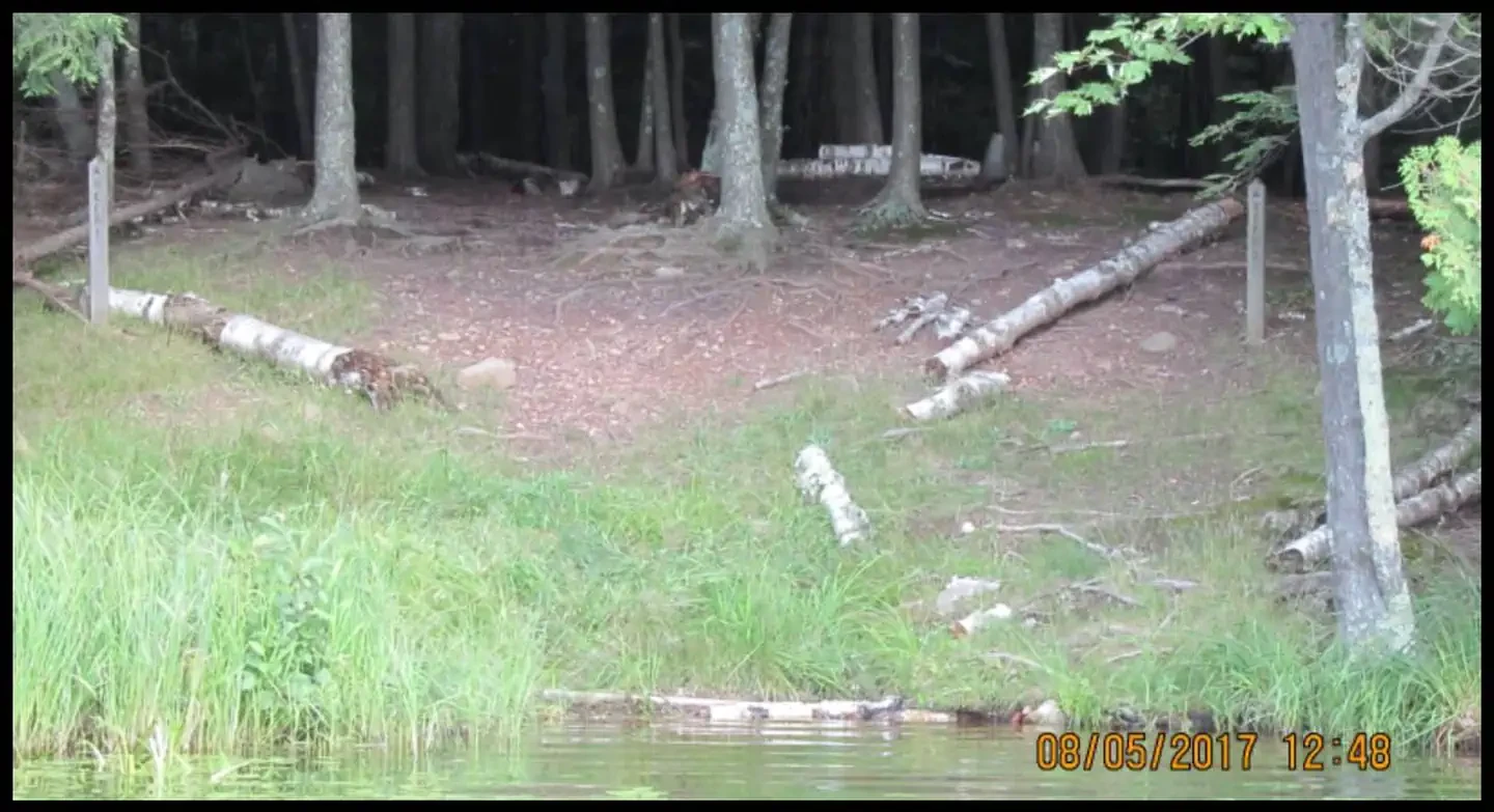 DEER-2
