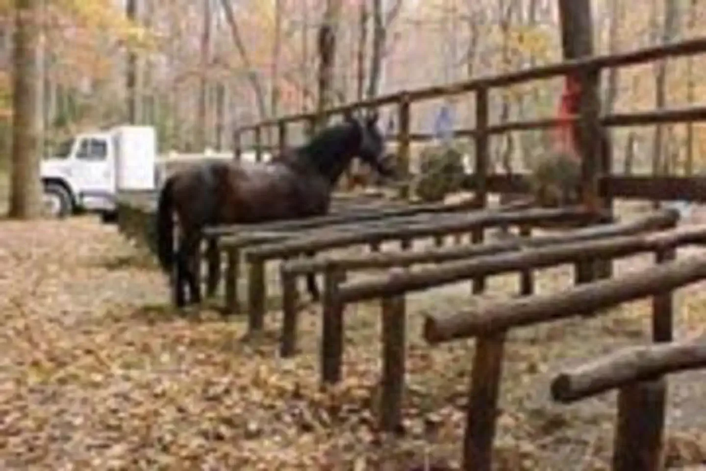 Round Bottom Horse Camp