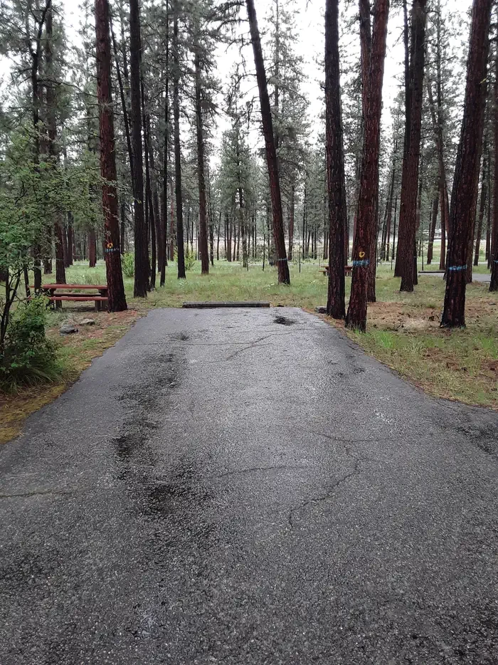 Quartz Flat Campground (MT)