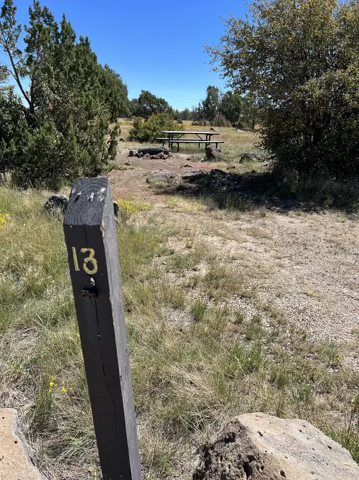 13