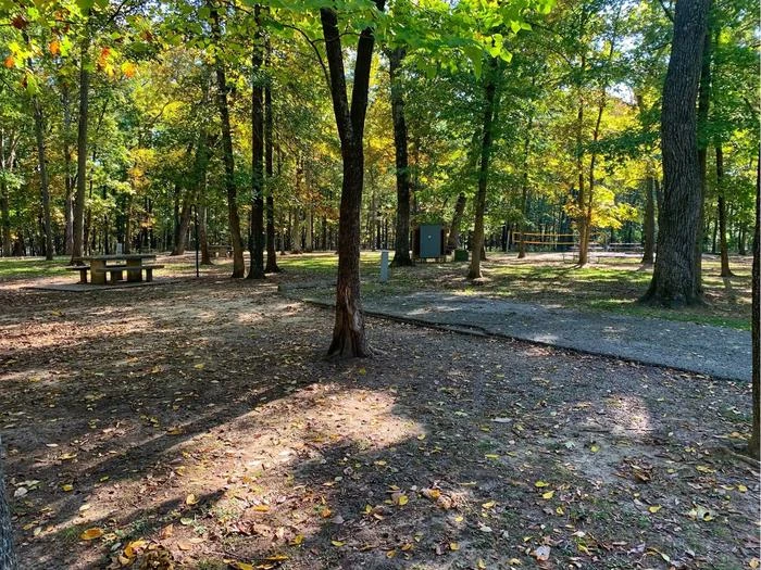 Shagbark Group Area