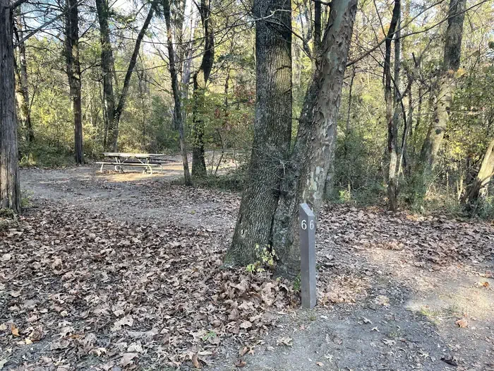 Site 6