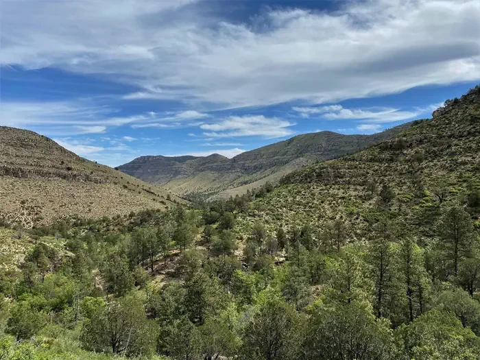 Dog Canyon Campground