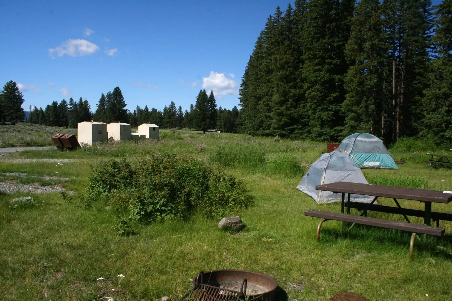 Slough Creek site #6