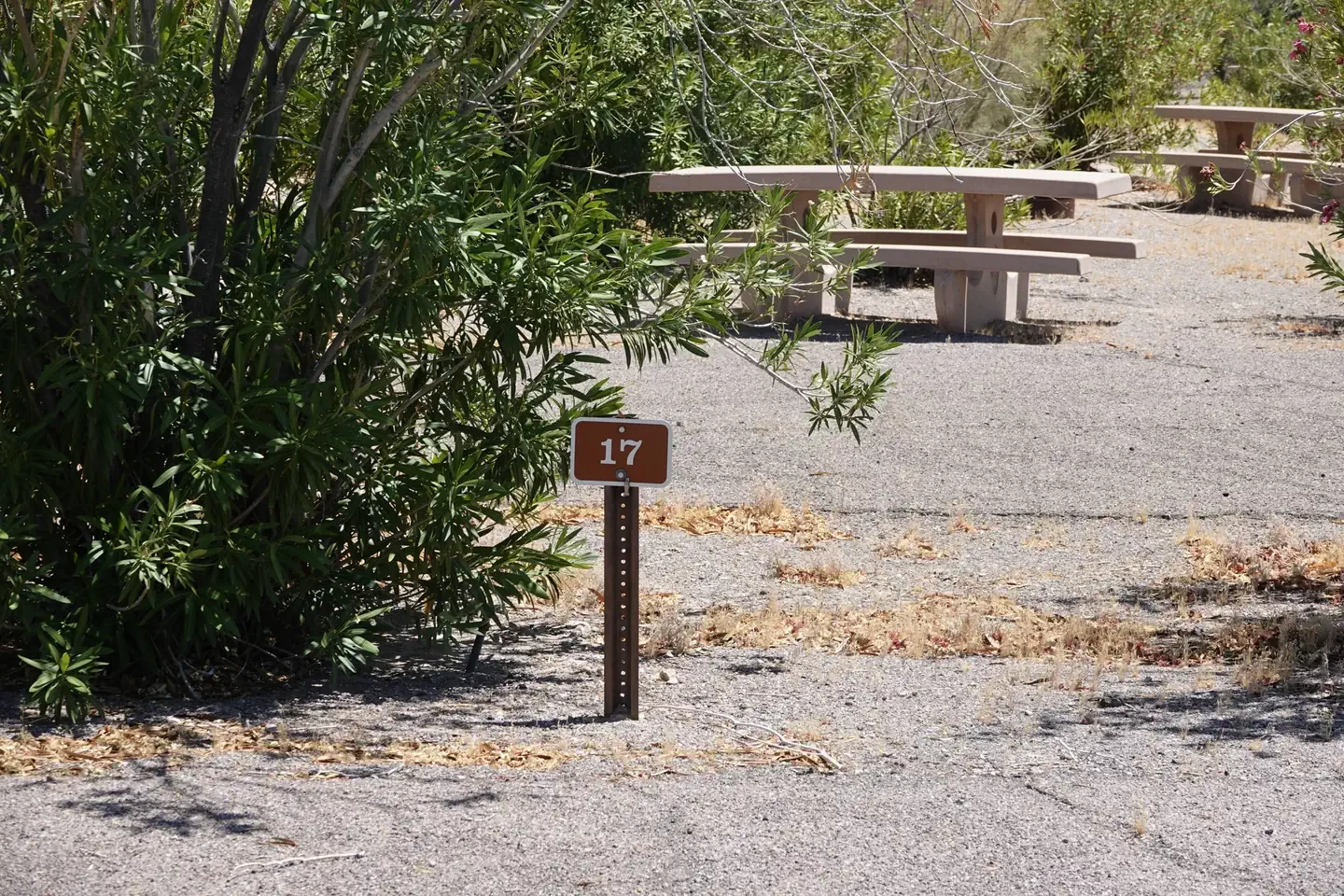 Site 19