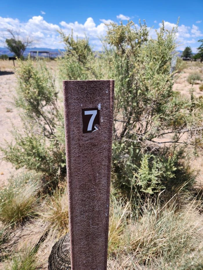7