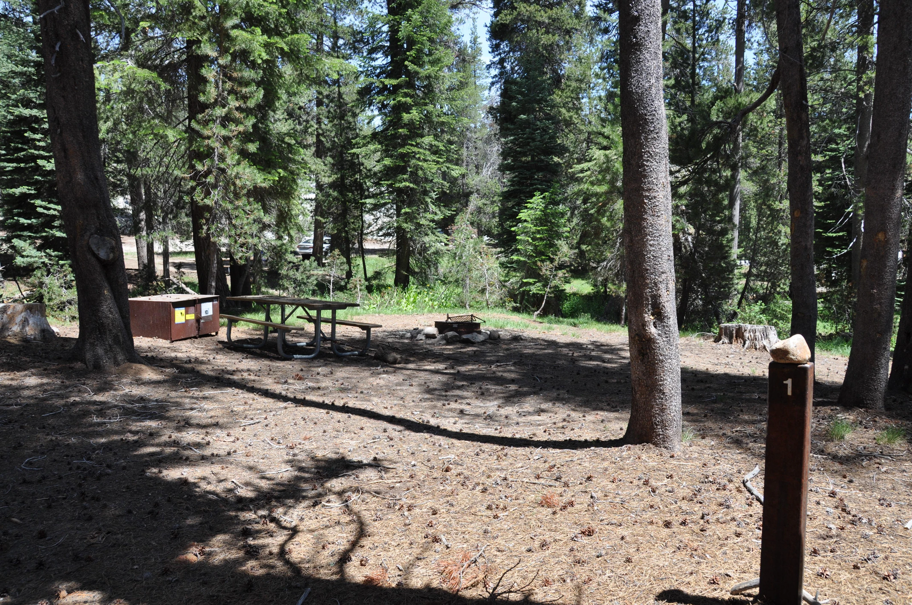 Yosemite Creek Campground