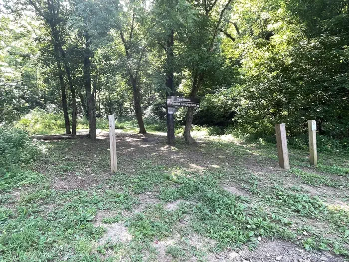 Cane Hollow - Site 3C