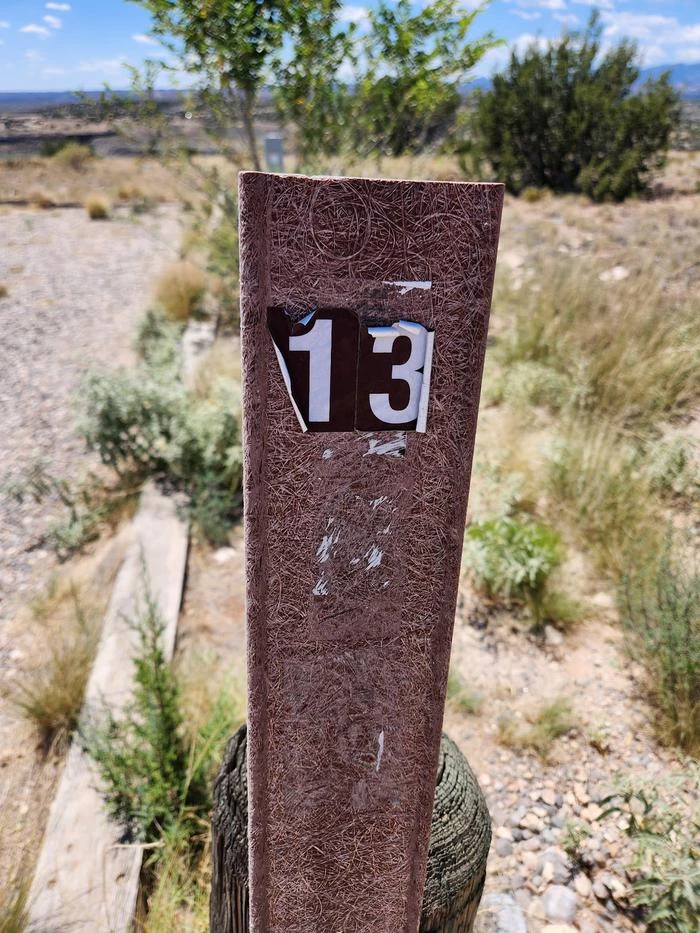 13
