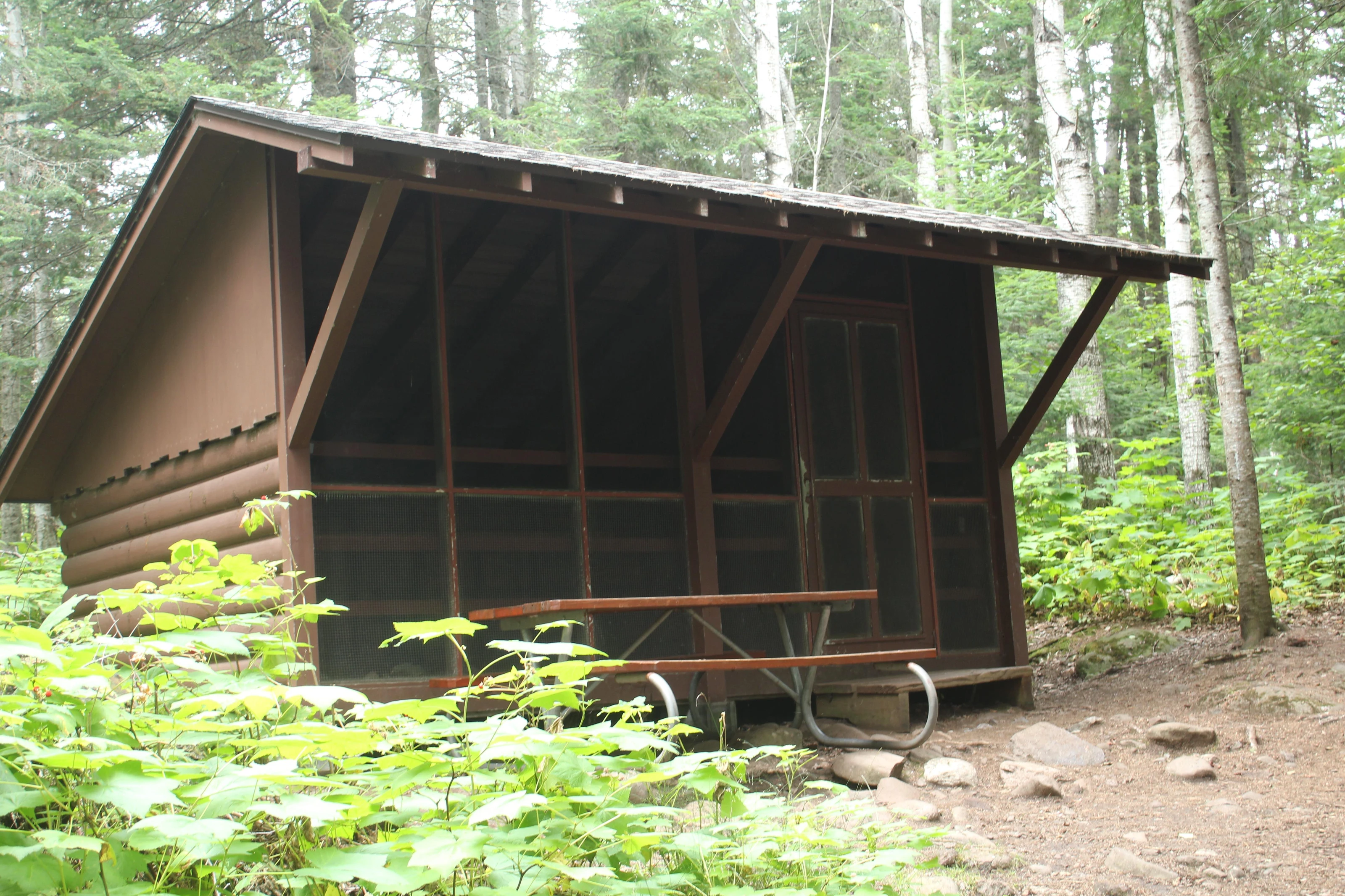 Daisy Farm Campground