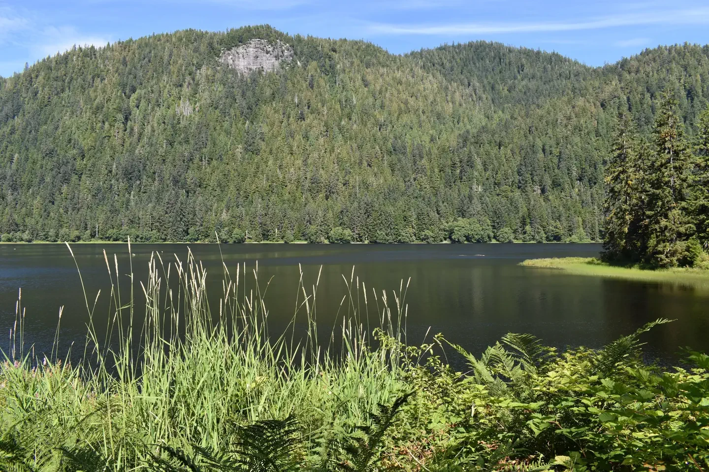 Heckman Lake Cabin