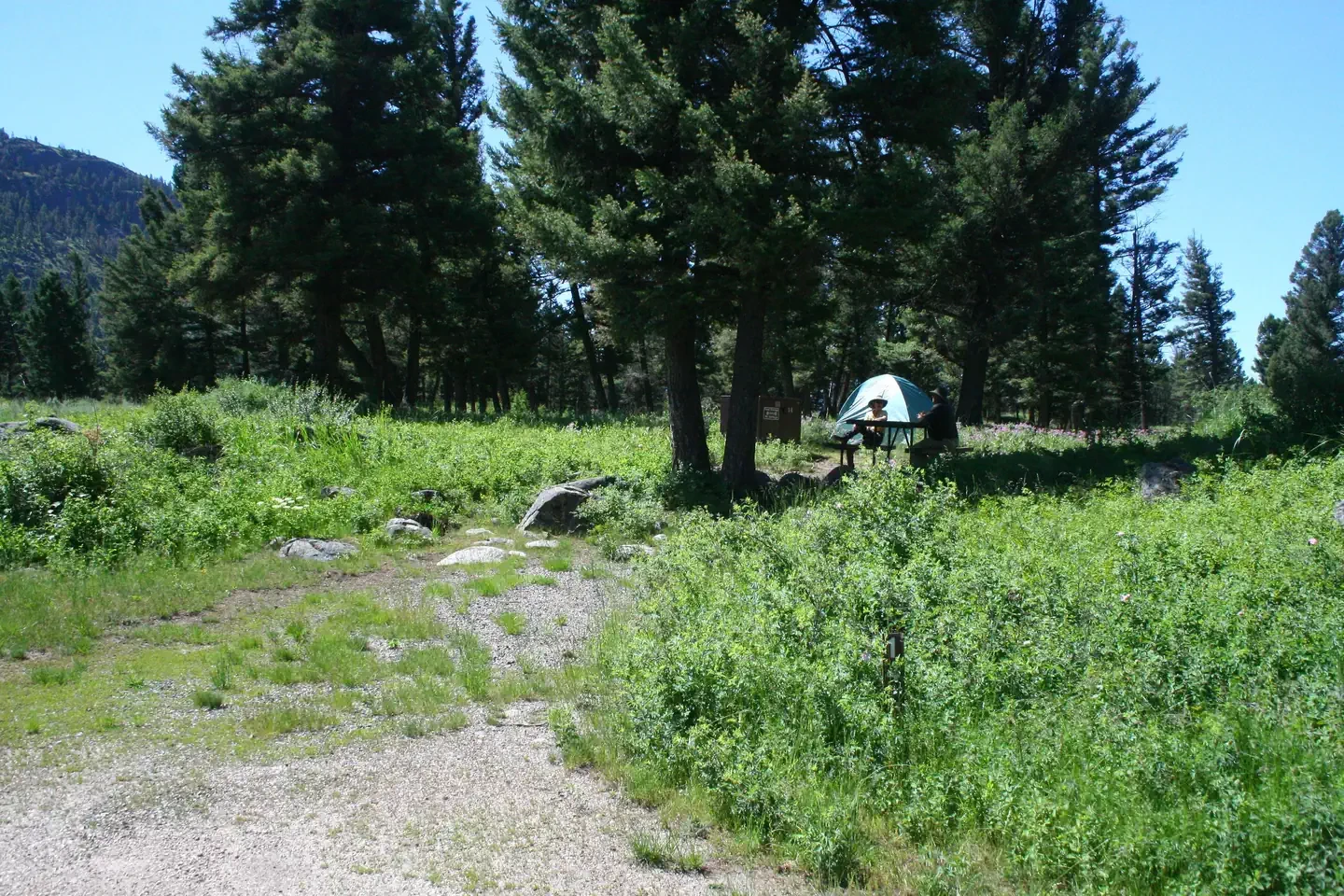 Slough Creek site #14