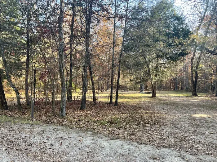 Site 3