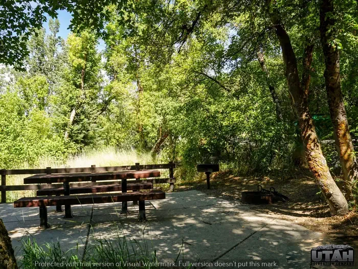 7AFT