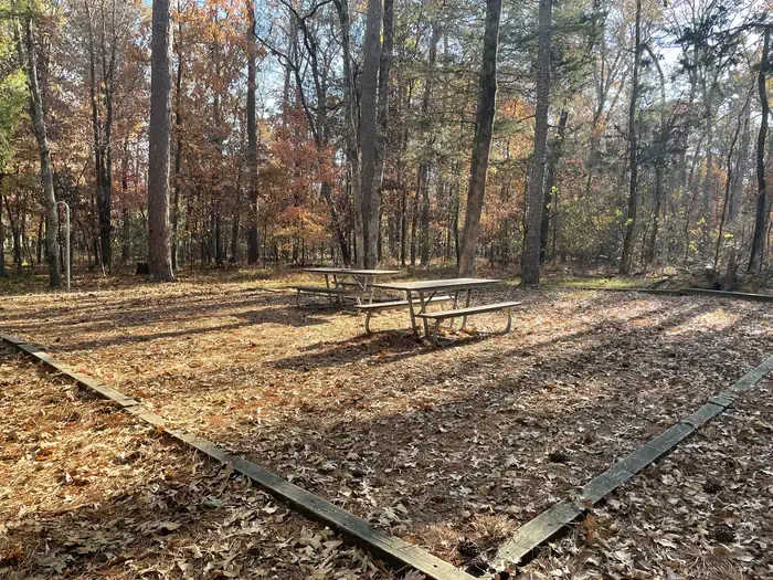 Site 4