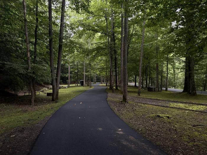 Cranesnest Campground (va)