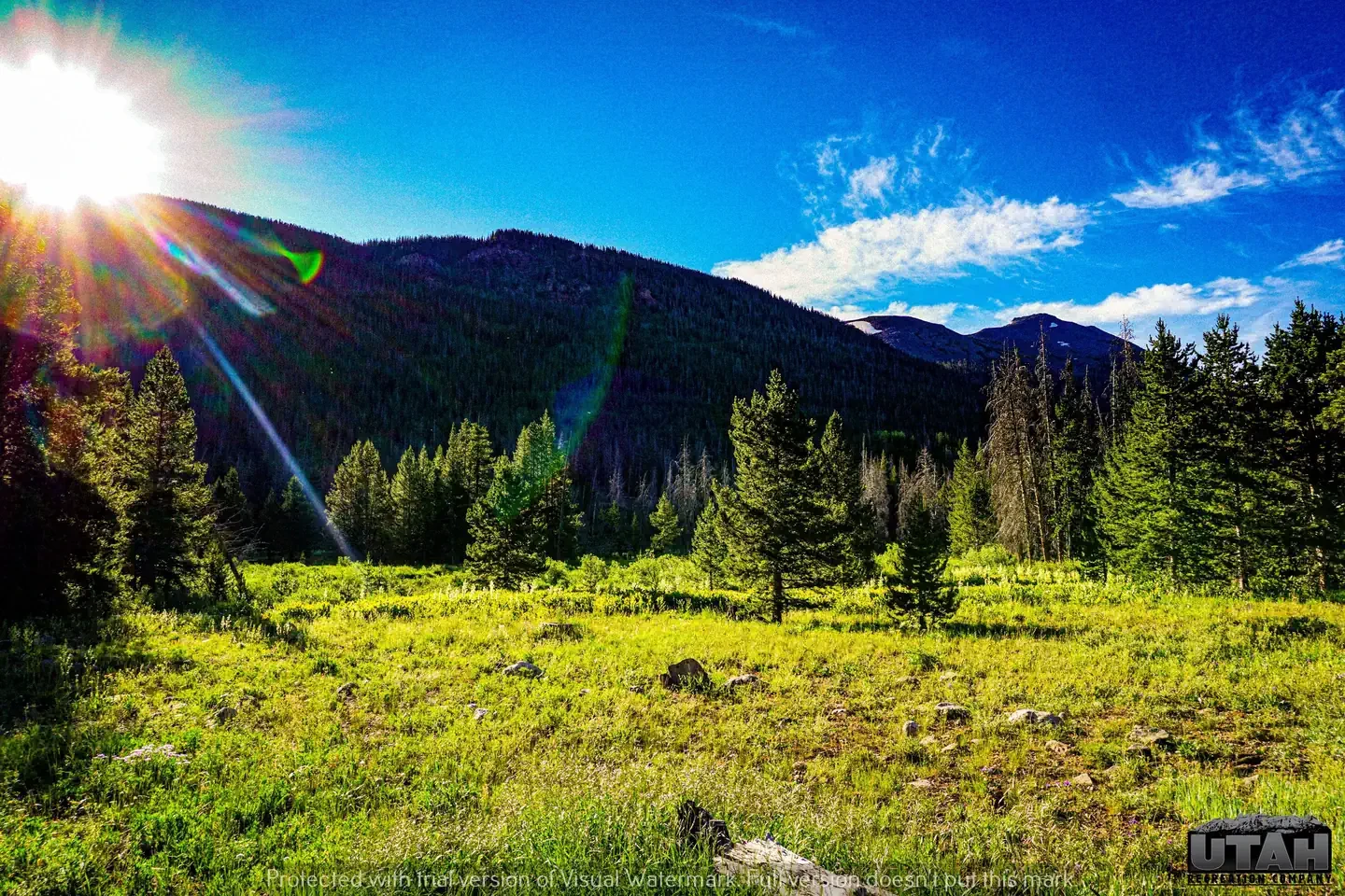Sulphur Campground