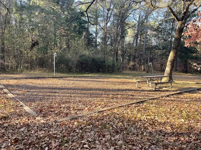 Site 1