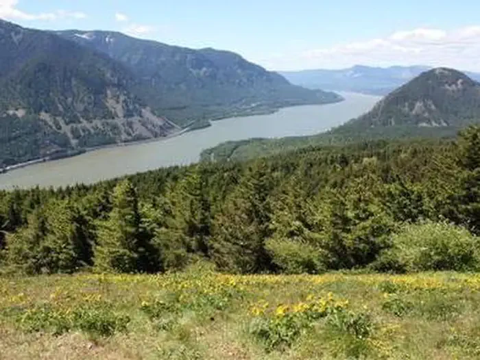 Dog Mountain Trail System Permits