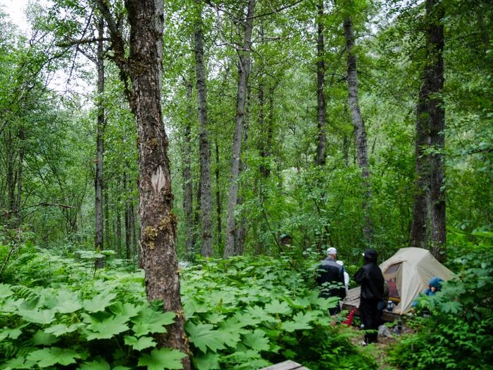 Site 6 Sheep Camp
