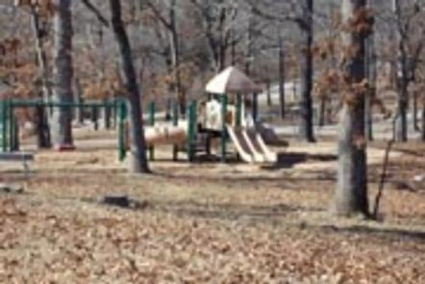 Cranfield Park