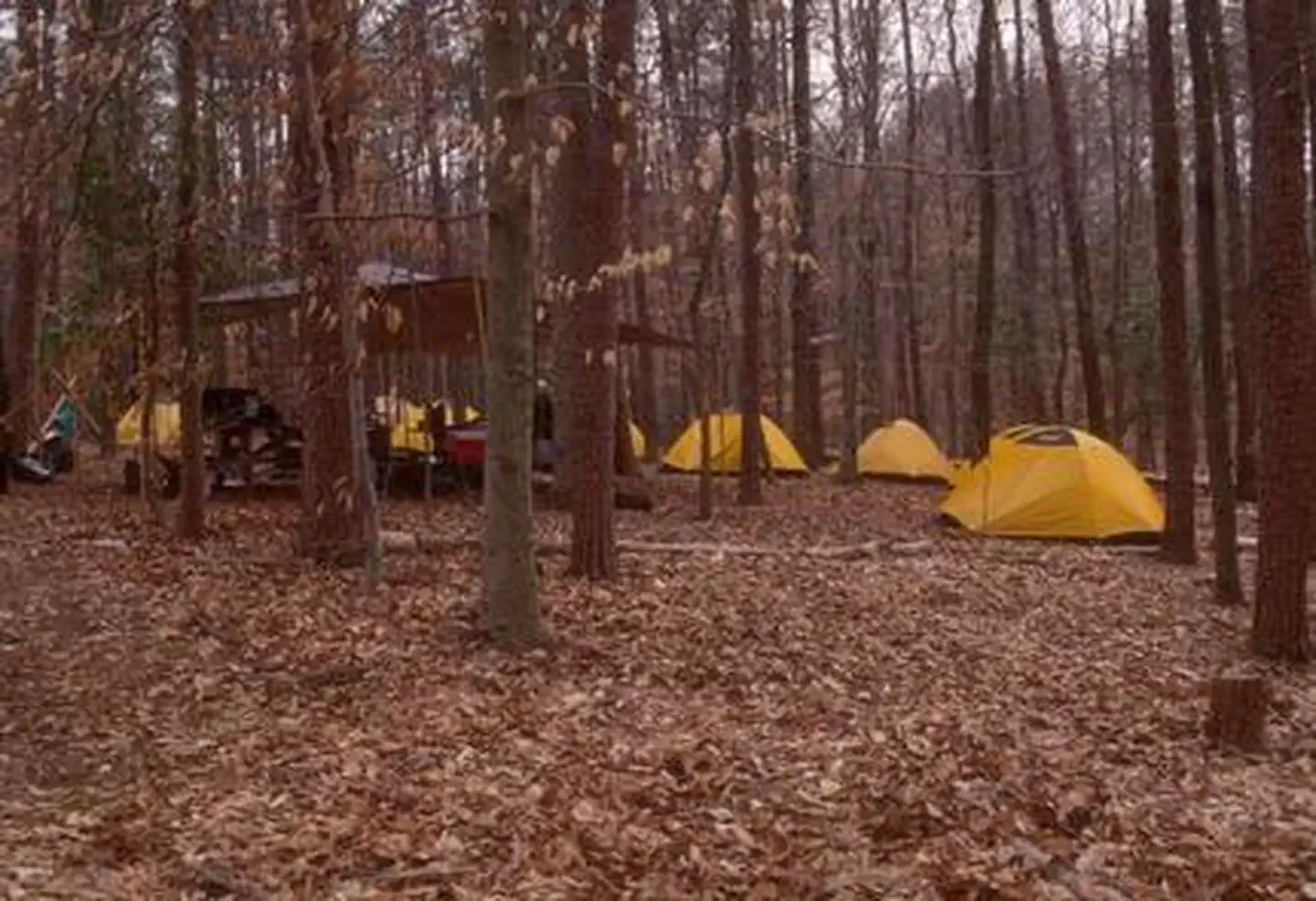 Turkey Run Ridge Group