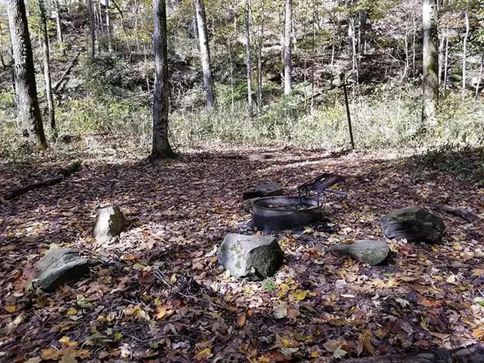 Three Springs