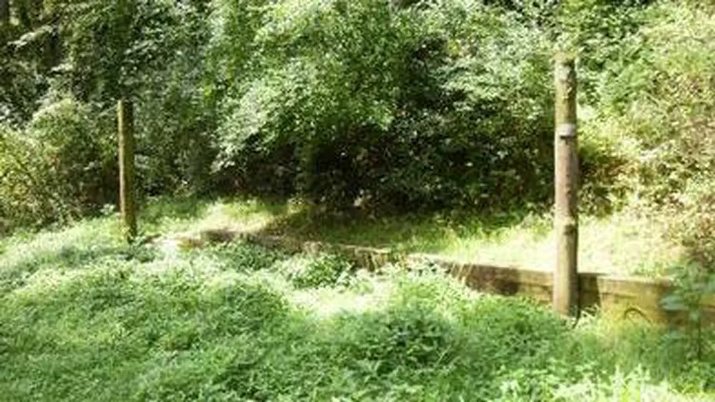 Wash Creek Horse Camp
