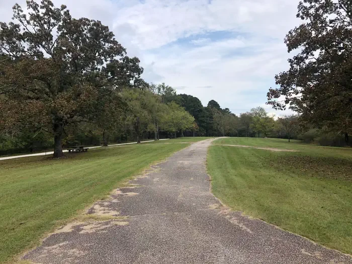 Shouse Ford