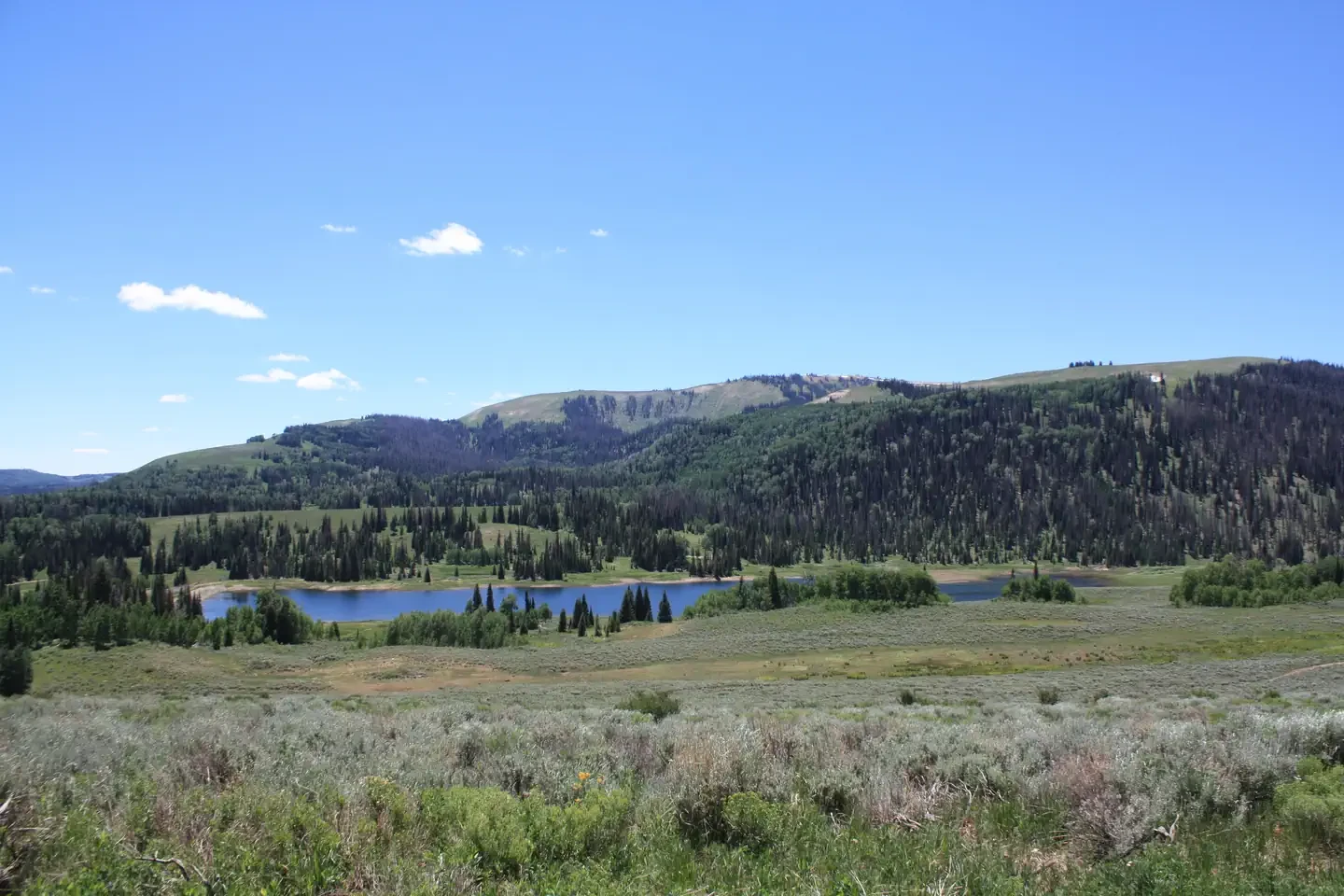 Lake Canyon Rec Area